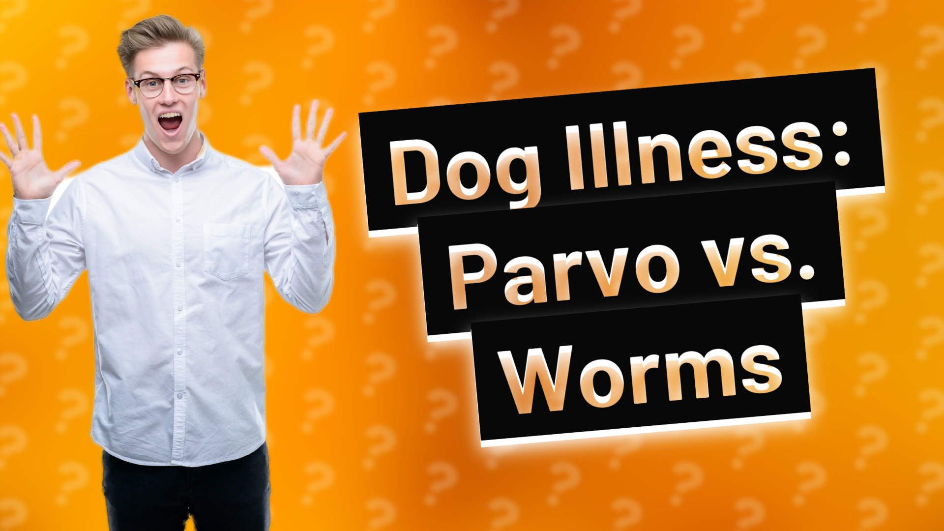 Dog Illness: Parvo vs. Worms