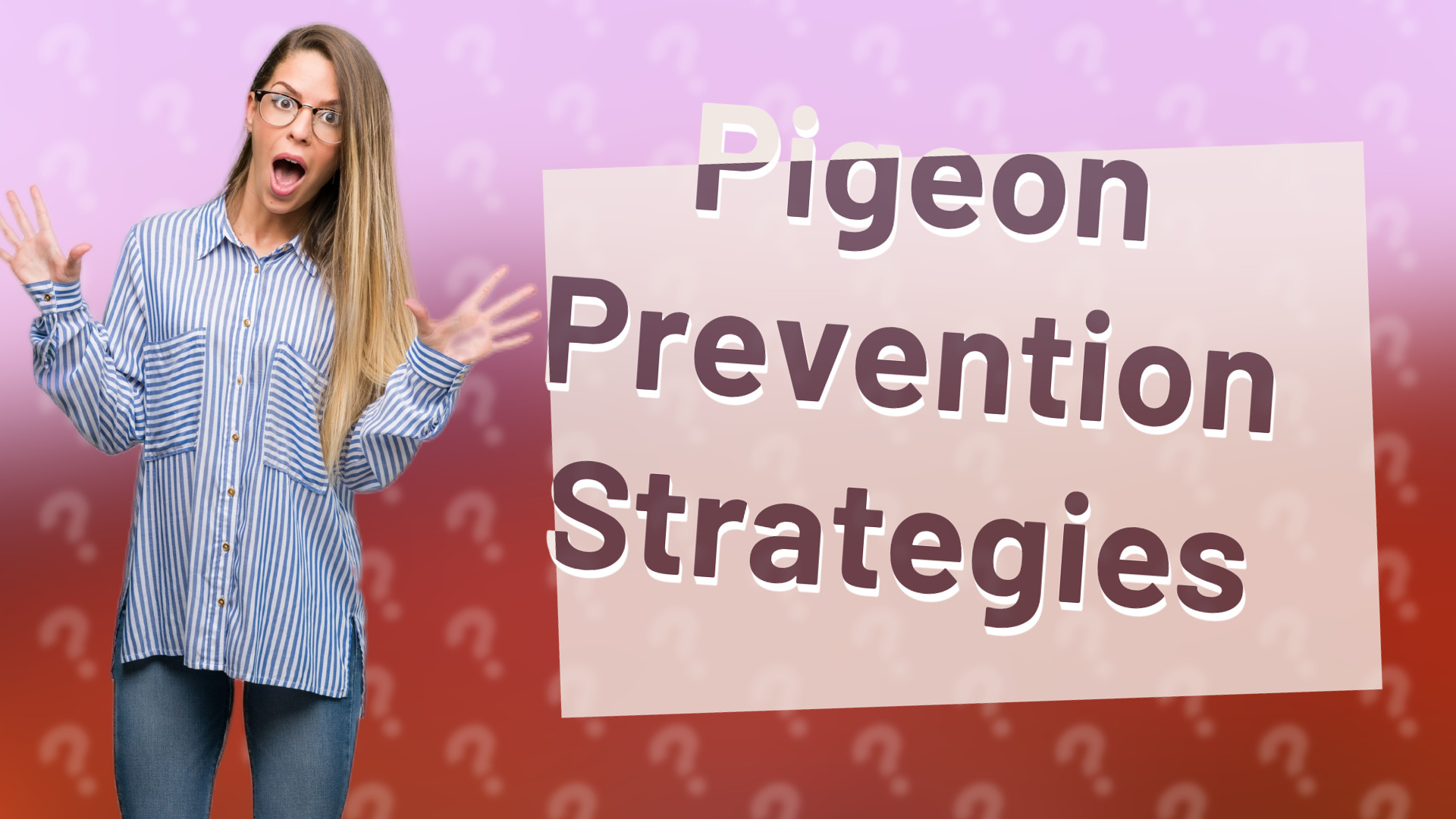 Pigeon Prevention Strategies