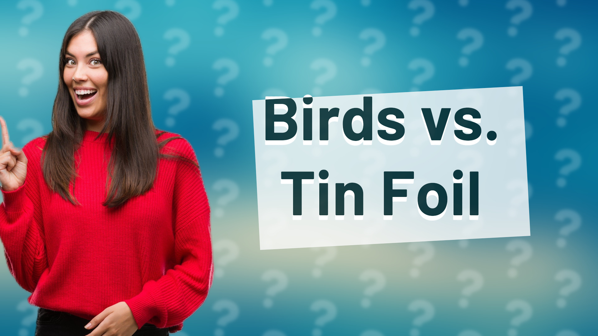 Birds vs. Tin Foil
