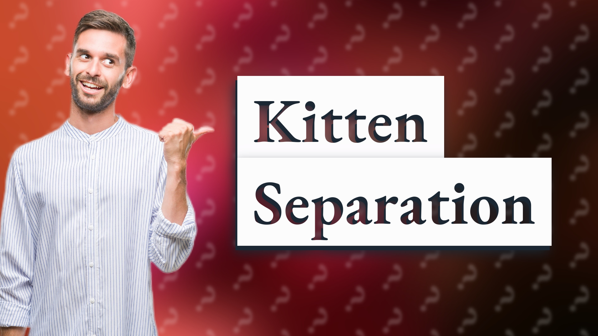 Kitten Separation