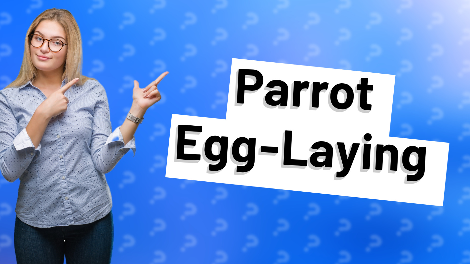 Parrot Egg-Laying