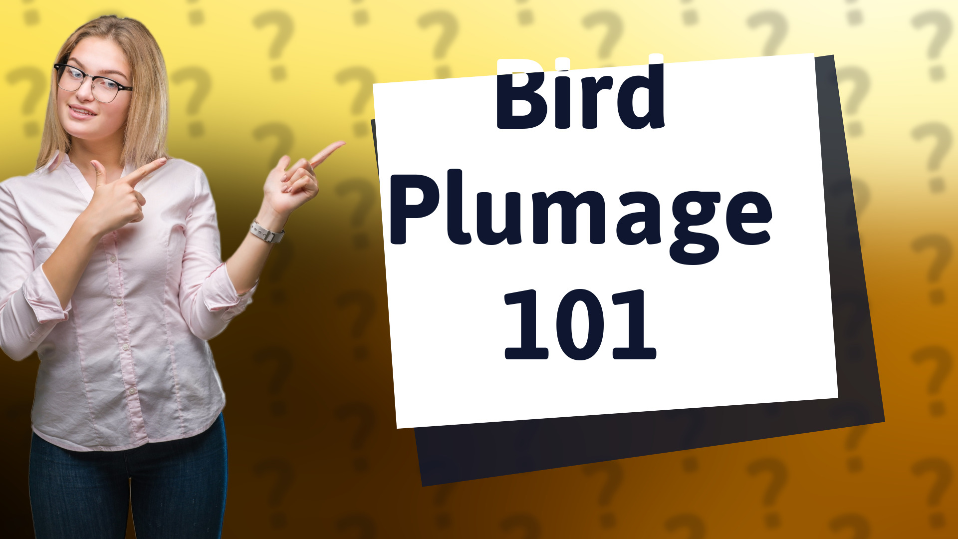 Bird Plumage 101