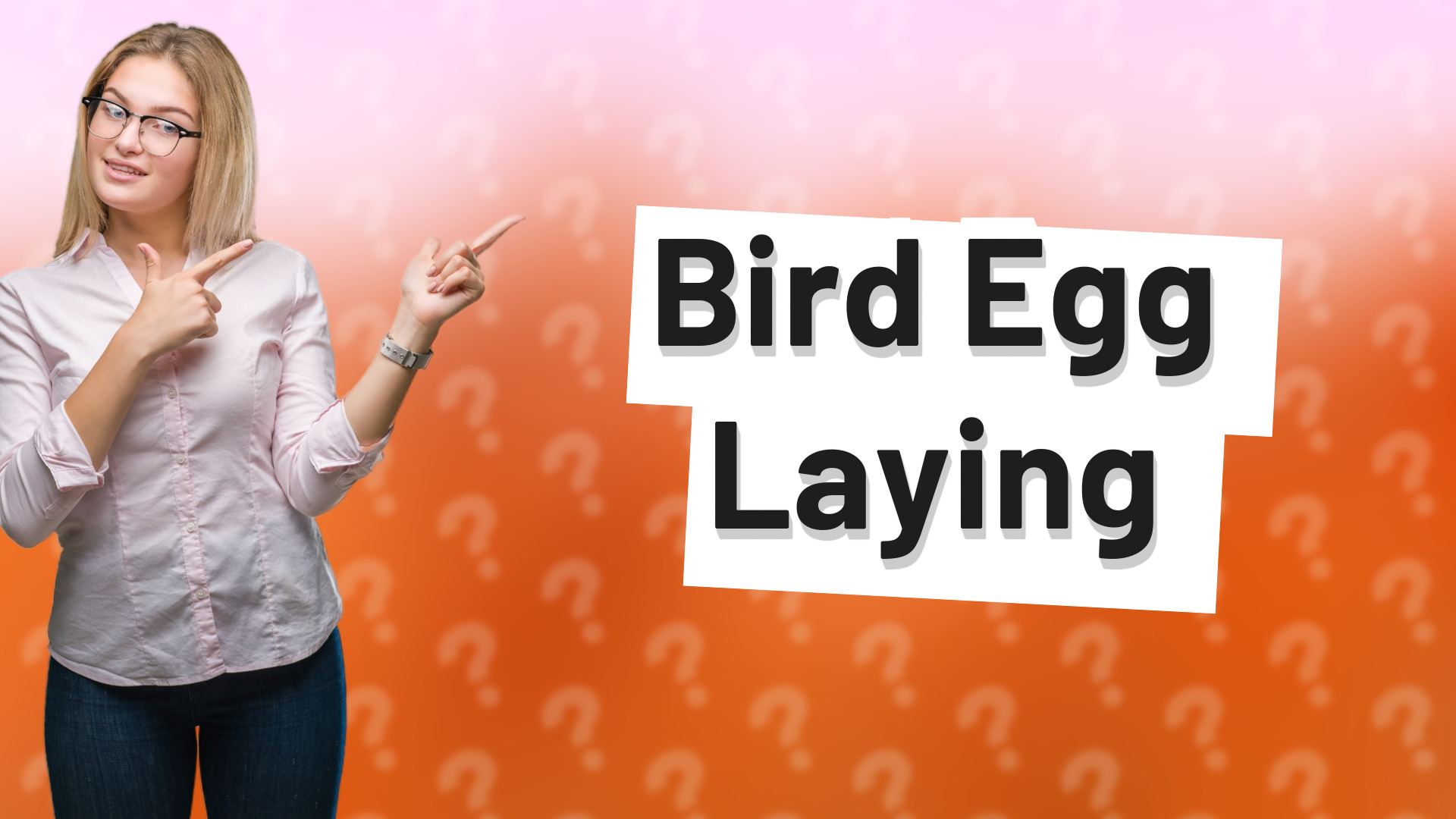 Bird Egg Laying