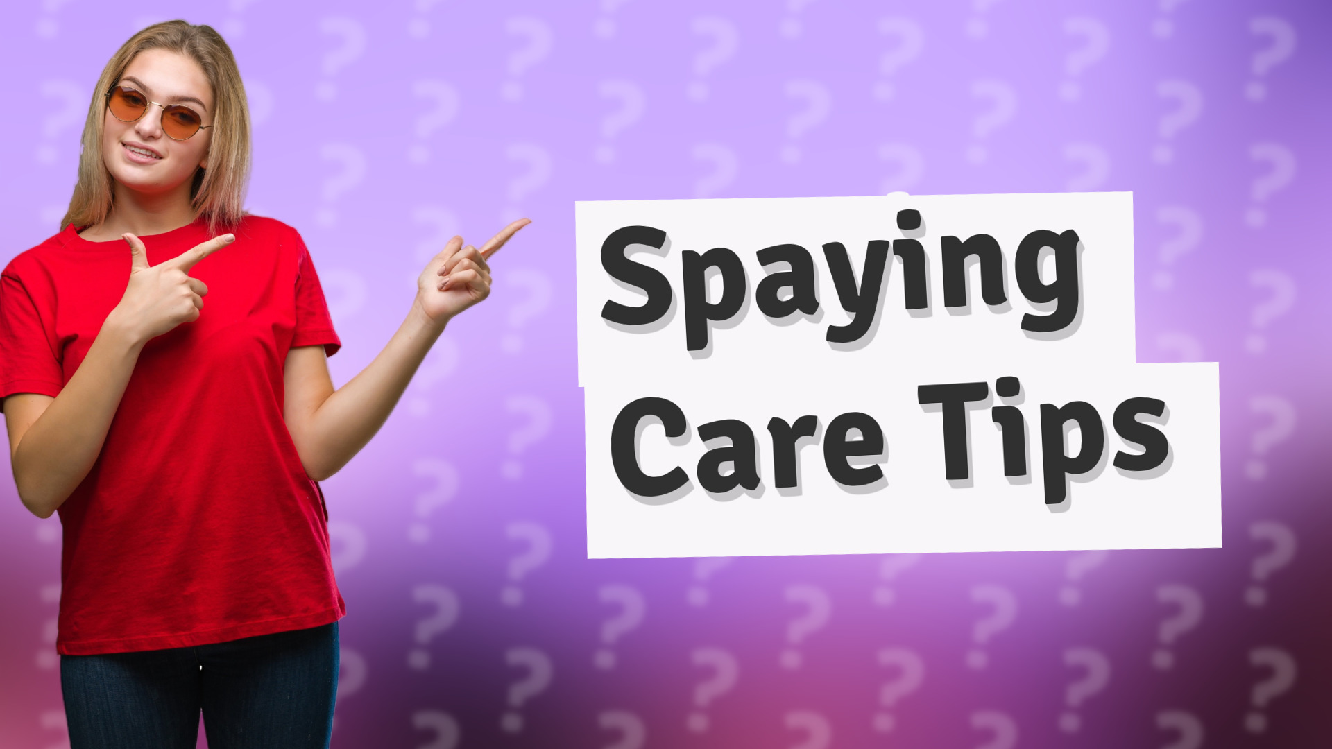 Spaying Care Tips
