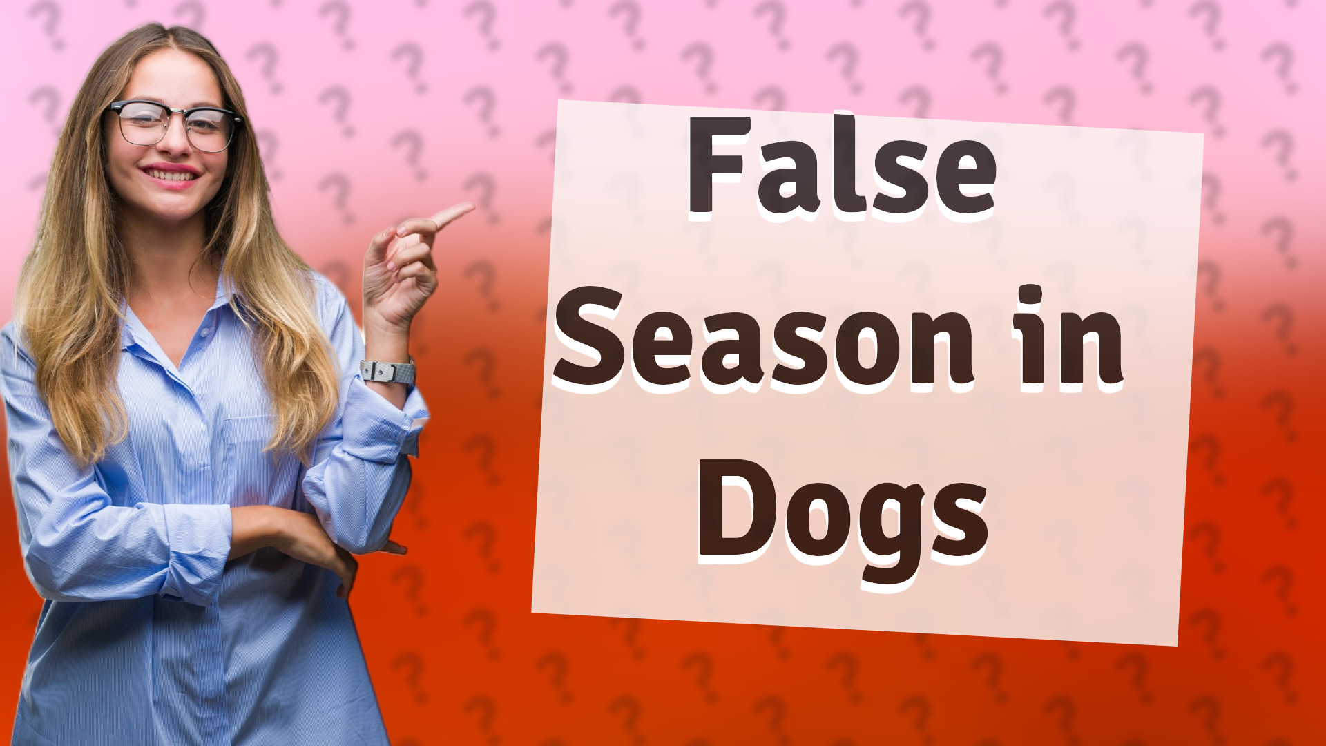 False Season in Dogs