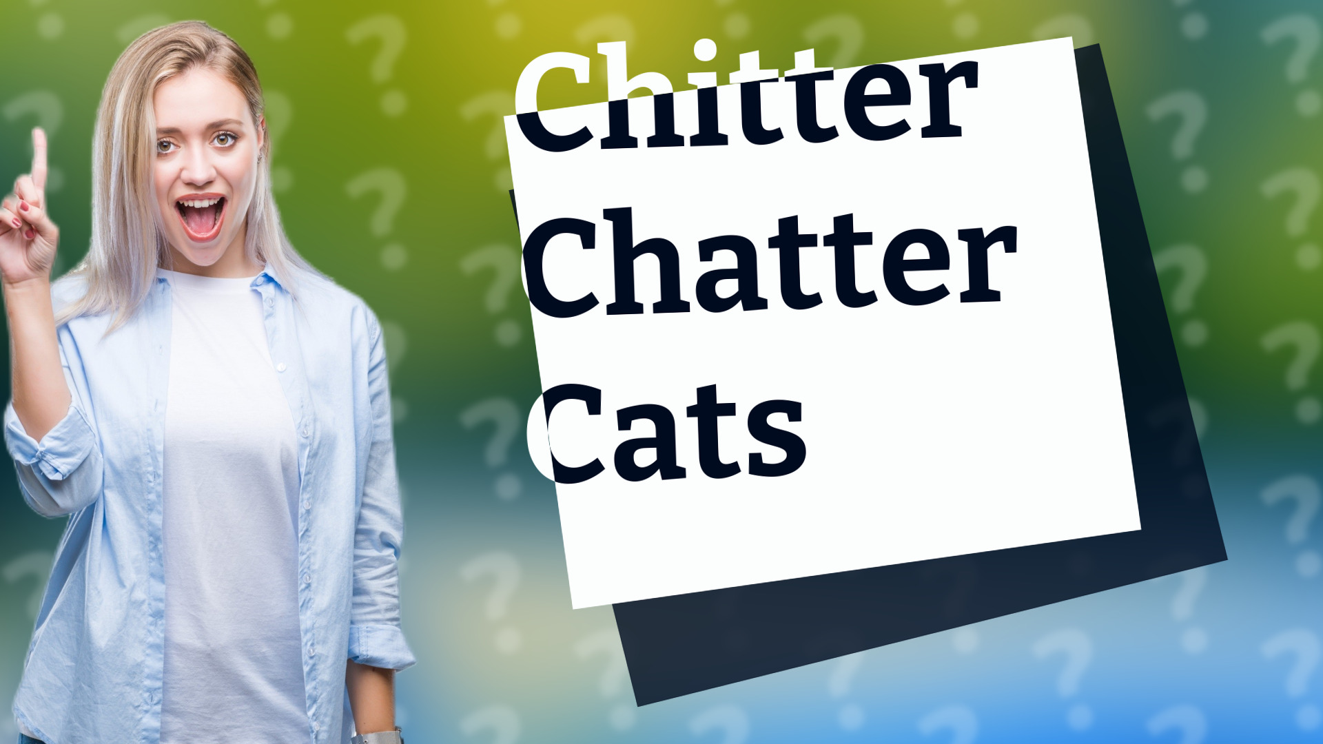 Chitter Chatter Cats