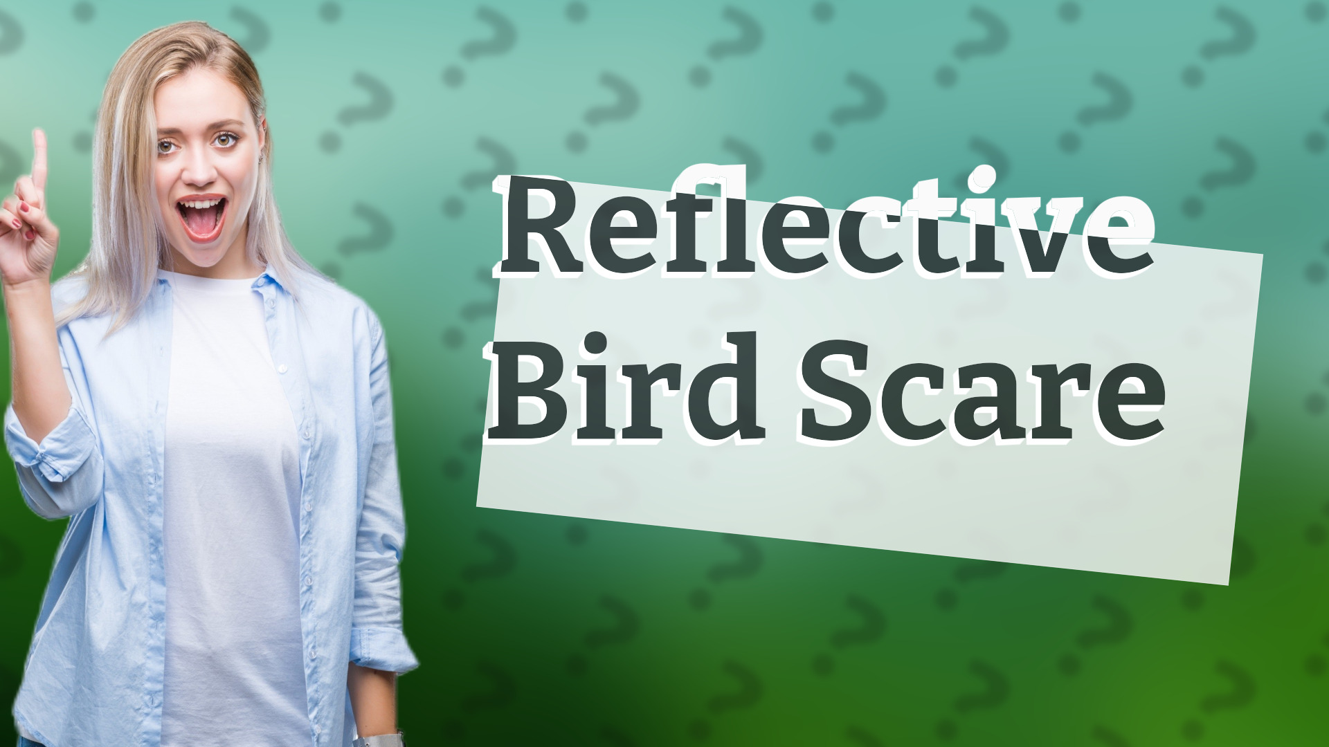 Reflective Bird Scare