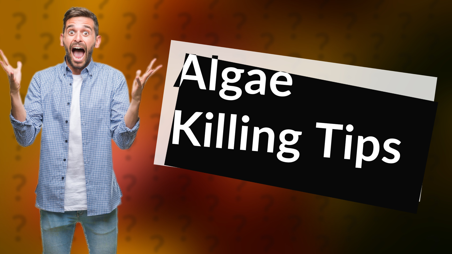 Algae Killing Tips