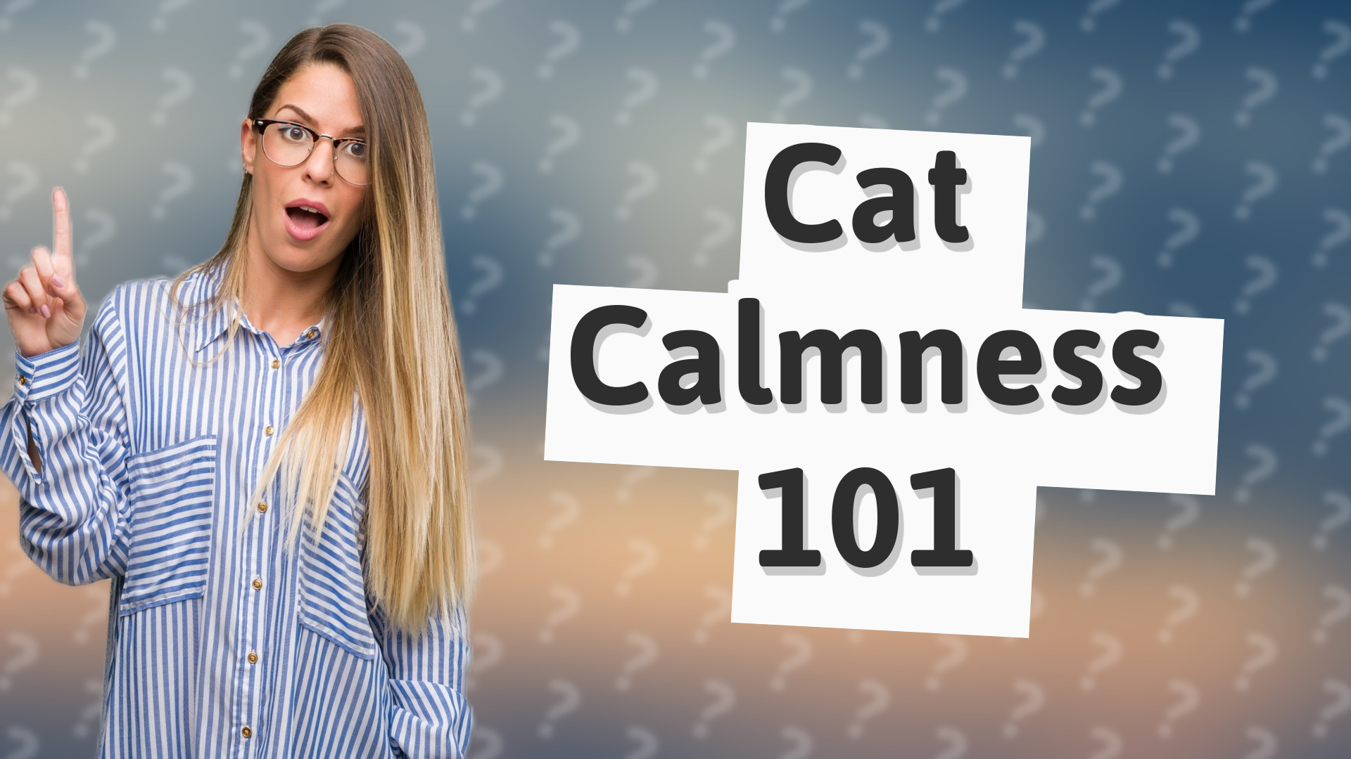 Cat Calmness 101