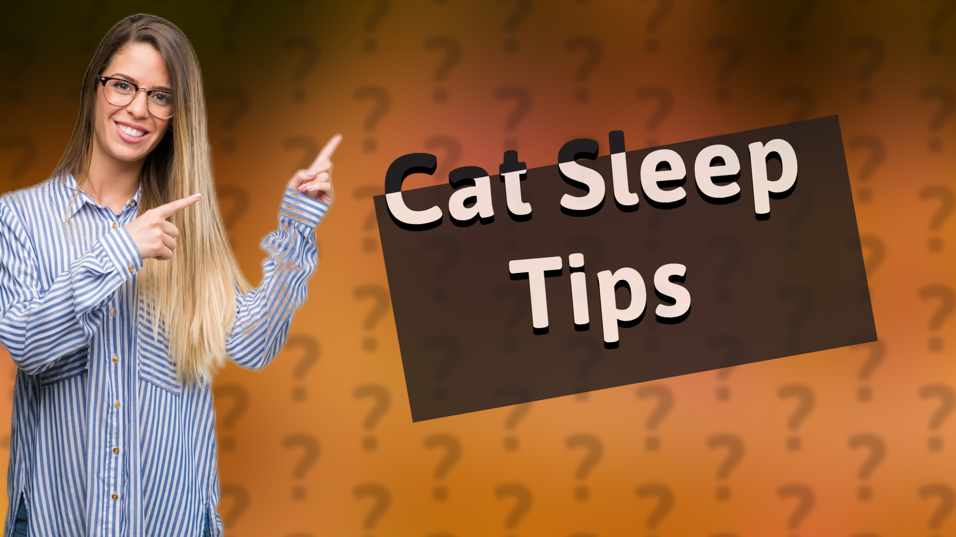 Cat Sleep Tips