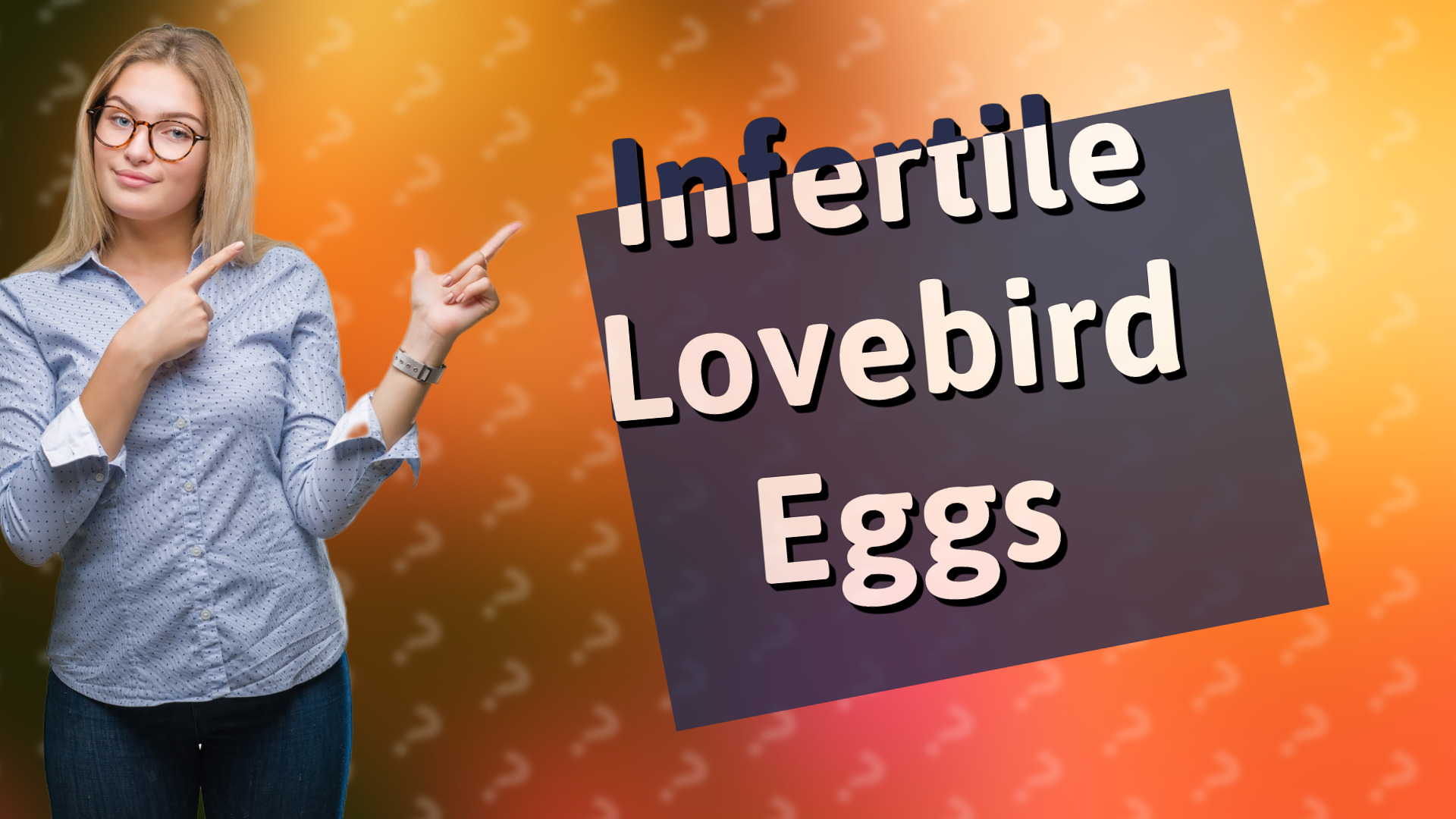 Infertile Lovebird Eggs