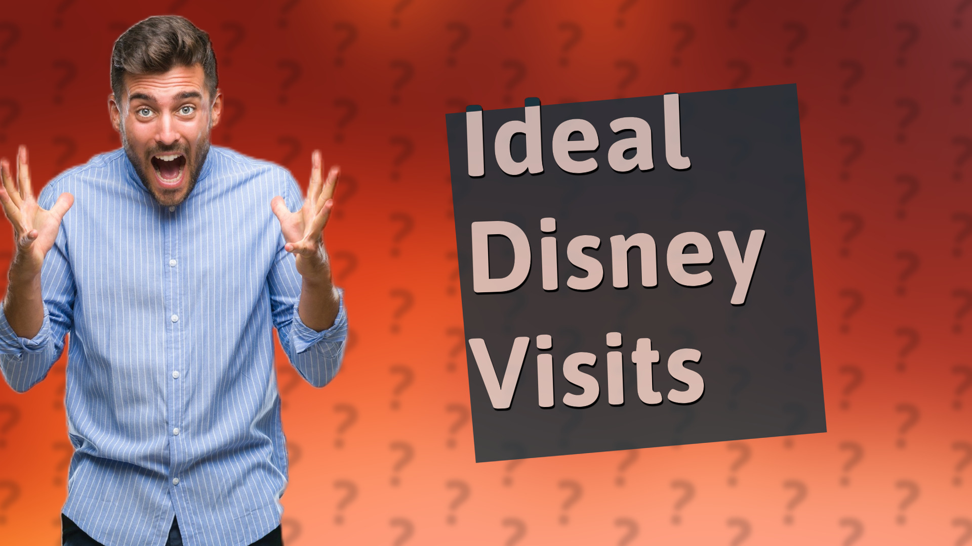 Ideal Disney Visits