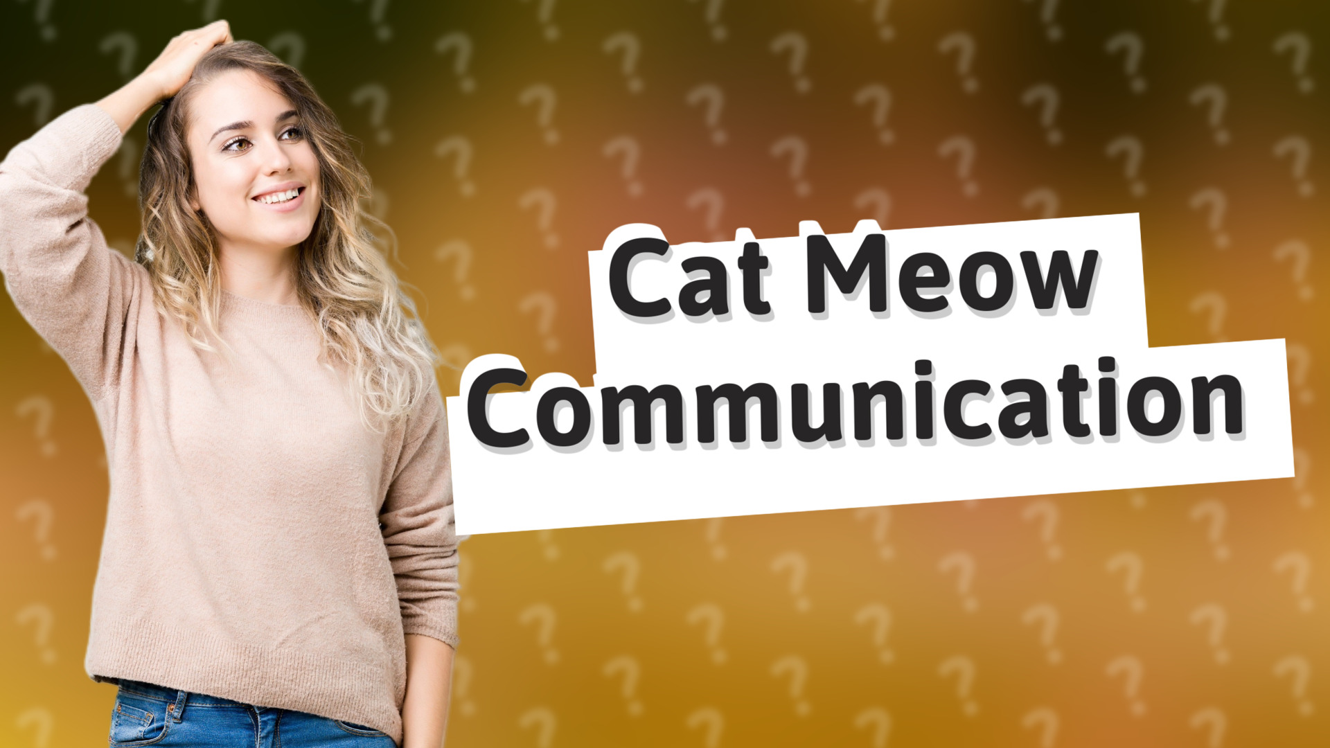 Cat Meow Communication