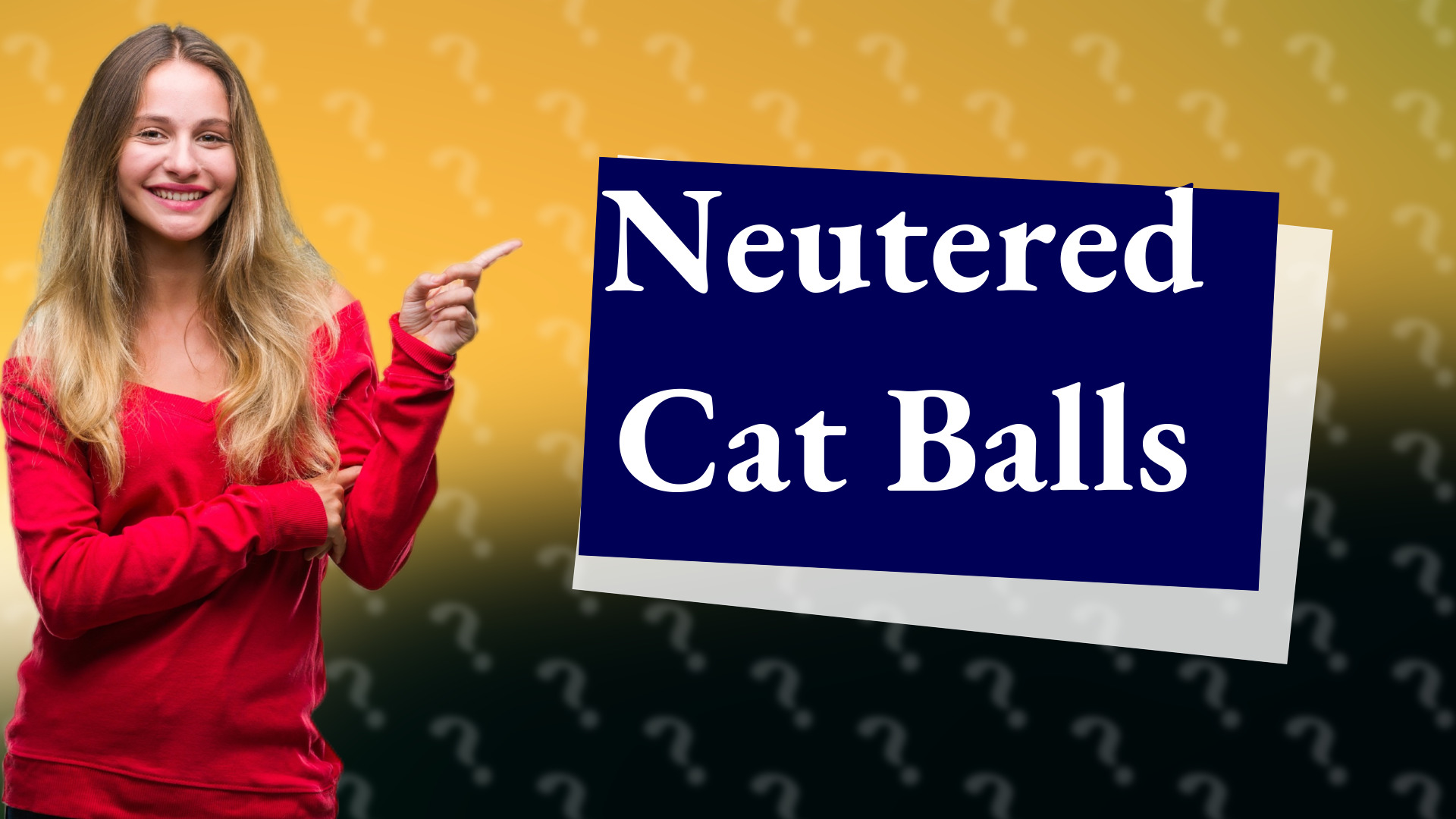 Neutered Cat Balls