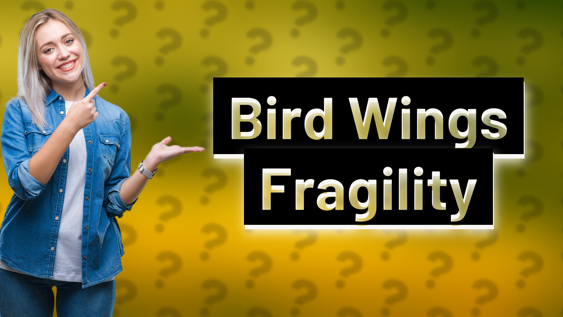 Bird Wings Fragility