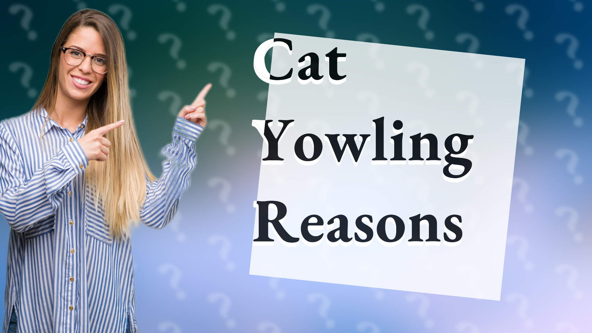 Cat Yowling Reasons