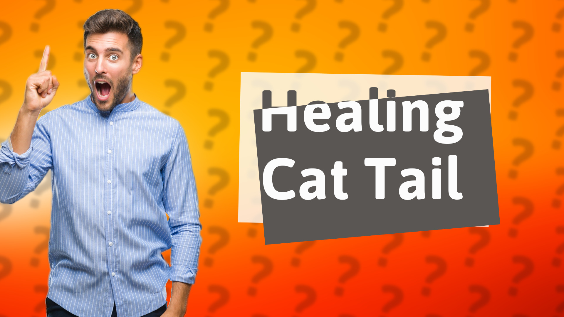Healing Cat Tail