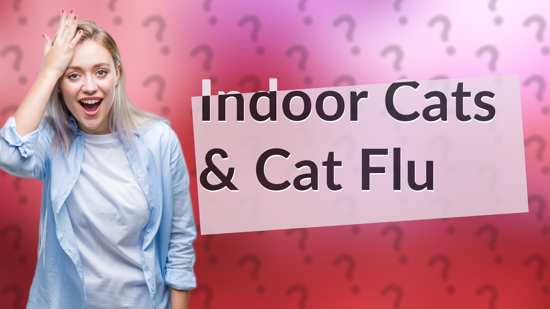 Indoor Cats & Cat Flu