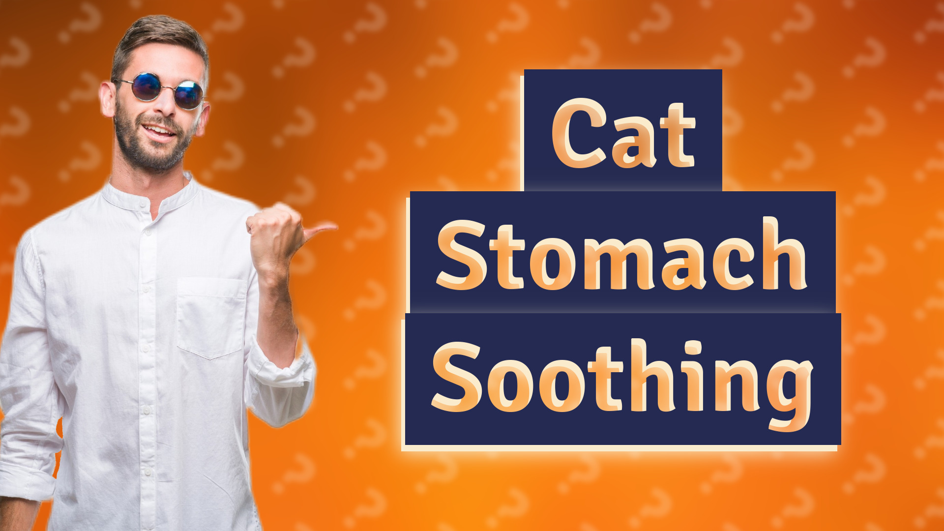 Cat Stomach Soothing