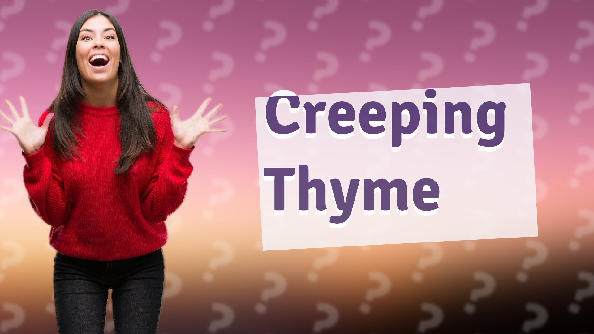 Creeping Thyme