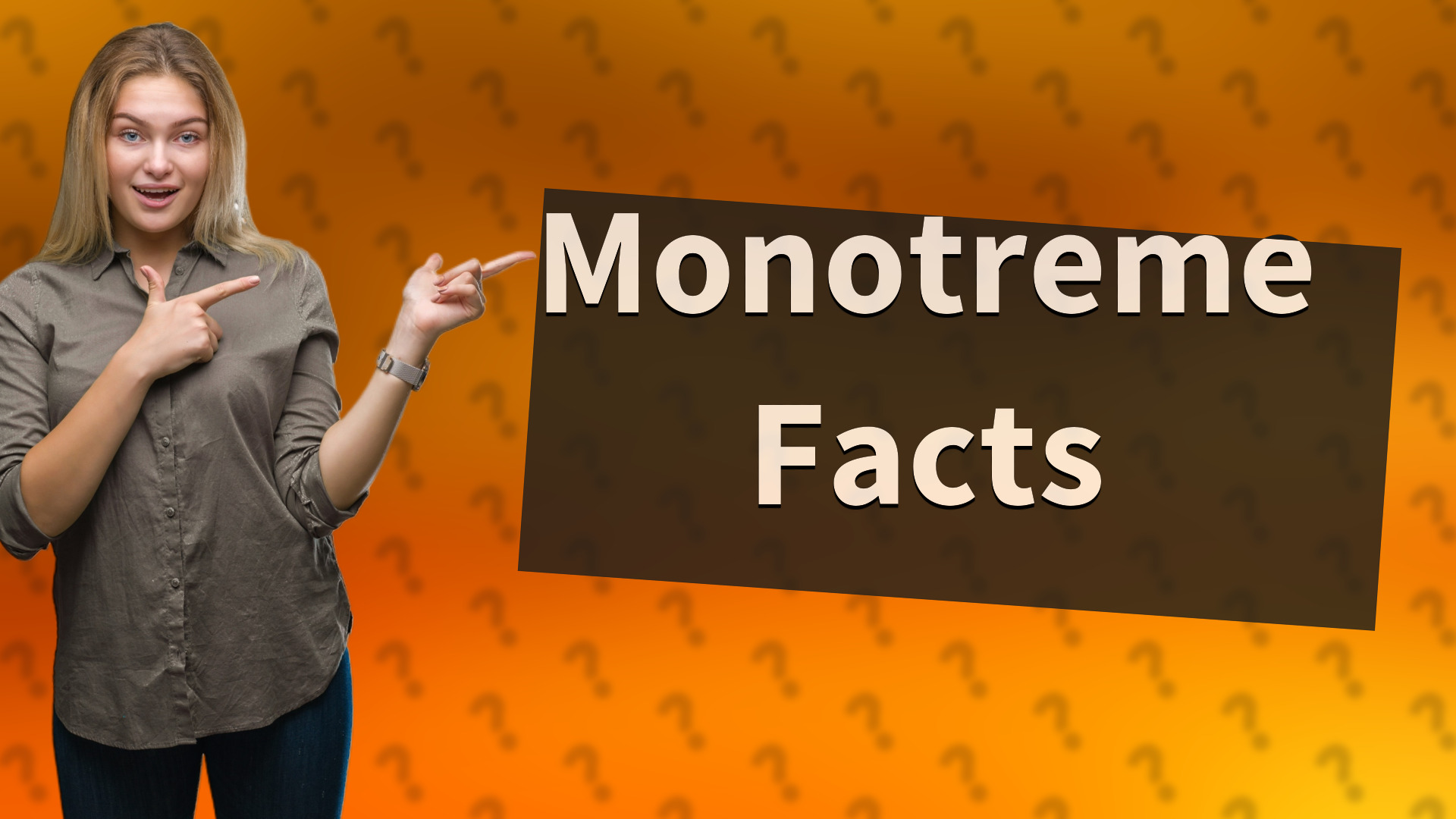 Monotreme Facts