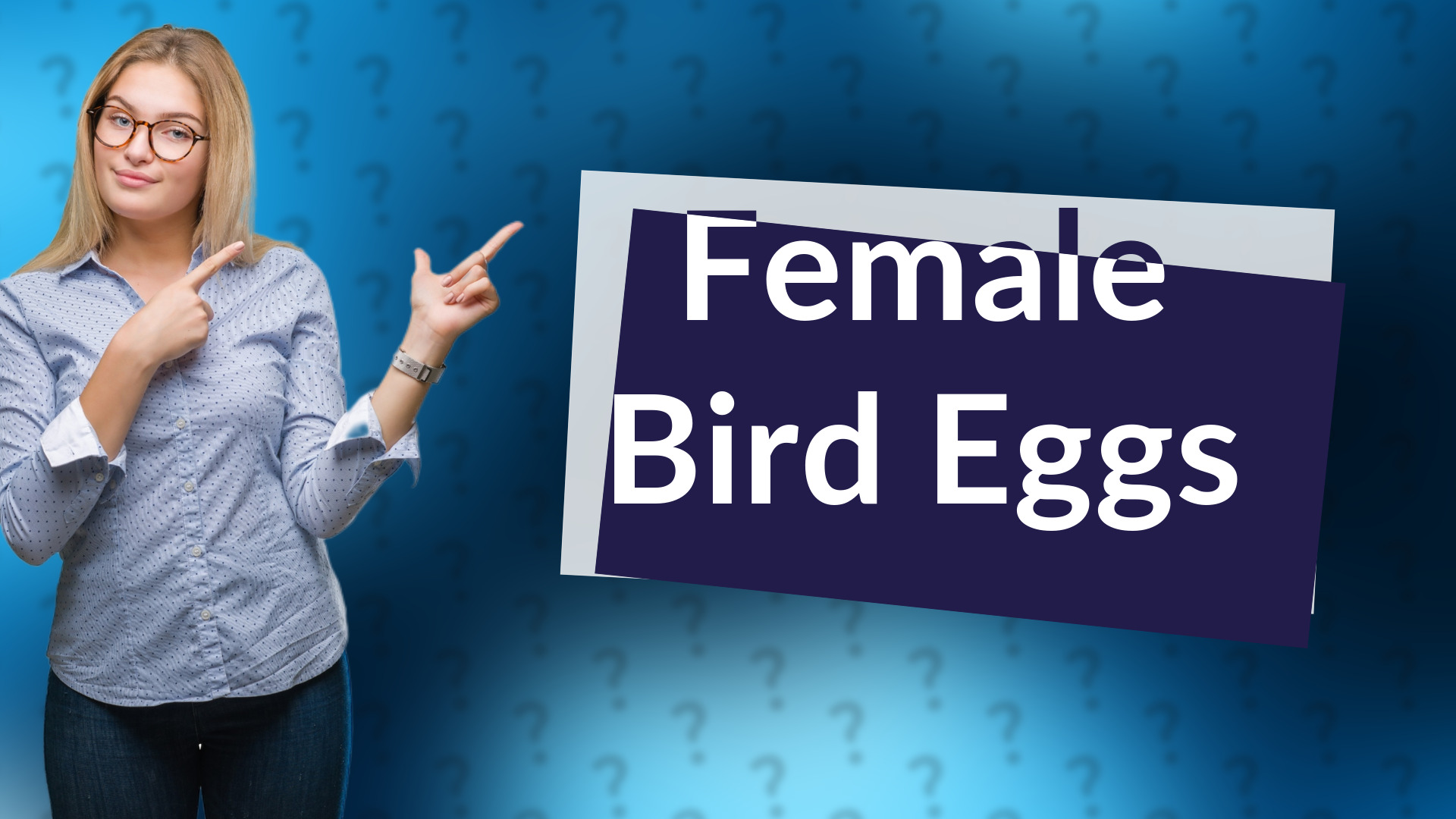 Female Bird Eggs