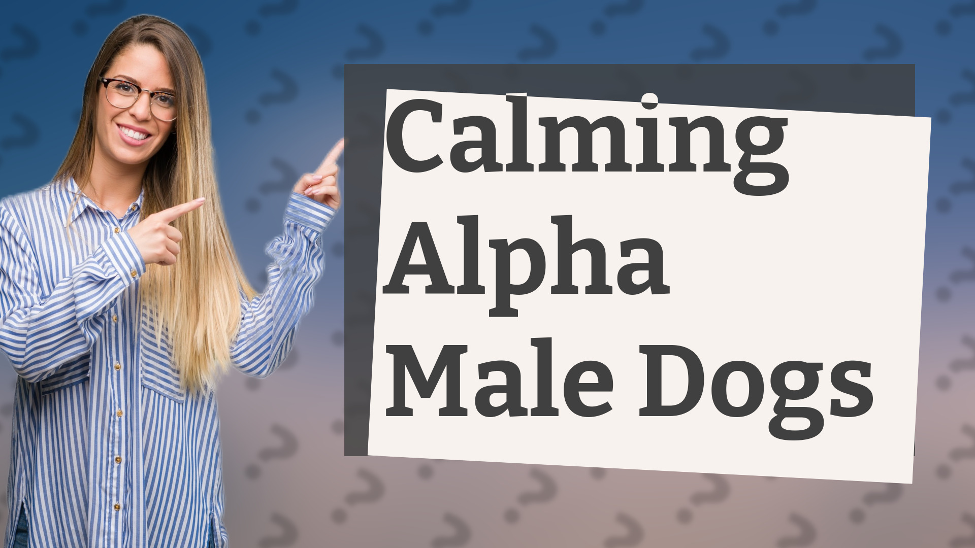 Calming Alpha Male Dogs