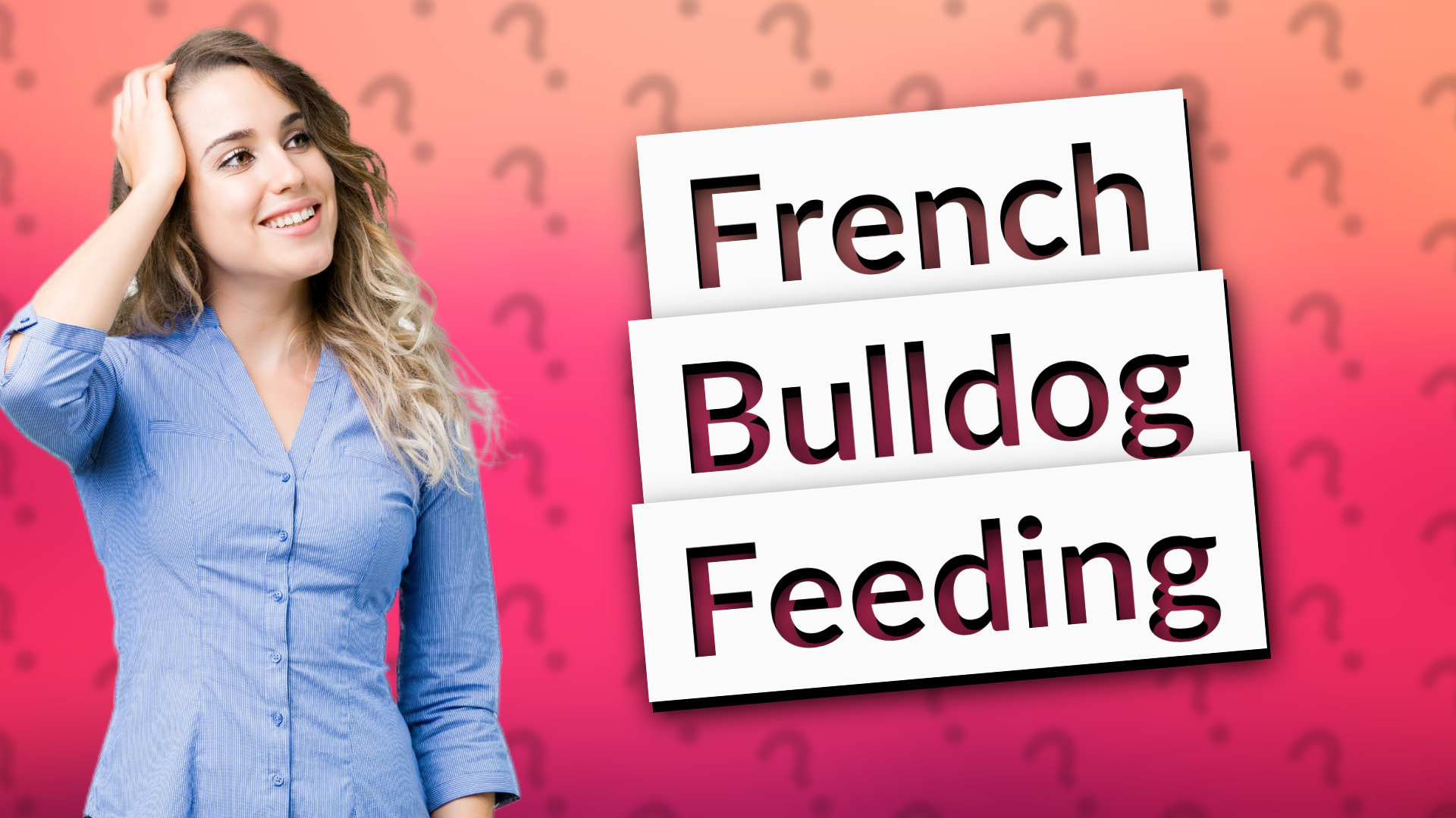 French Bulldog Feeding