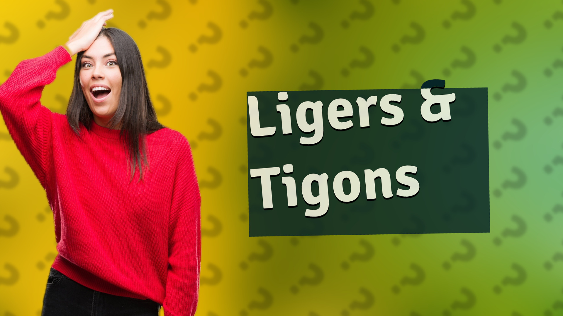 Ligers & Tigons