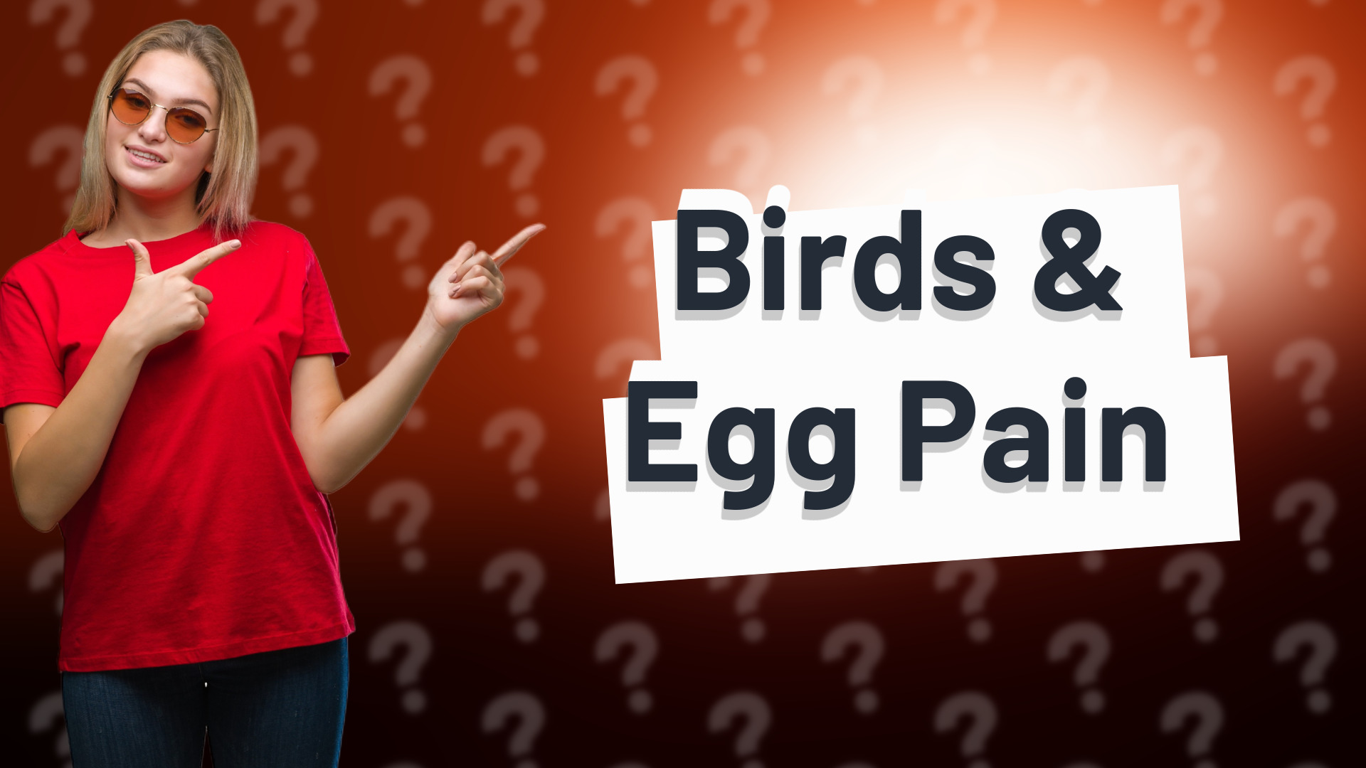 Birds & Egg Pain