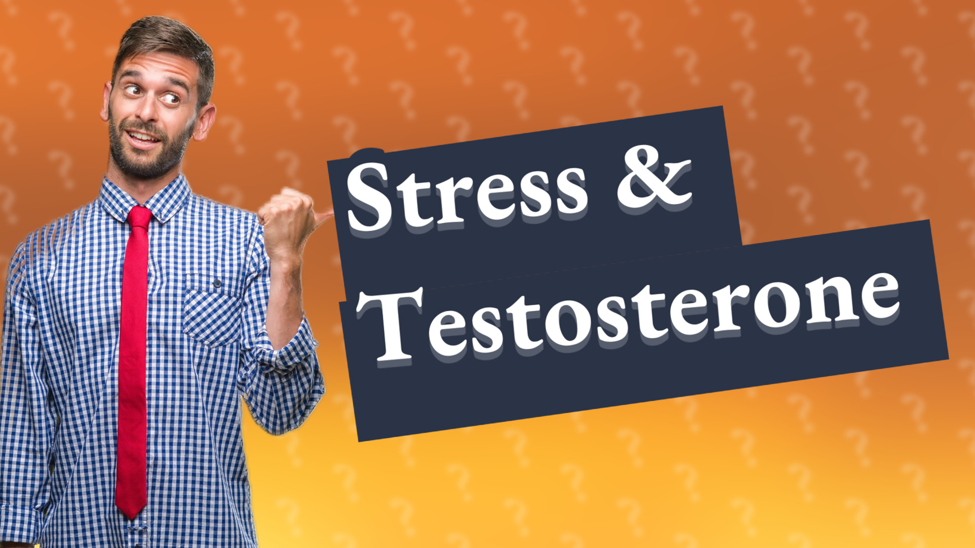 Stress & Testosterone
