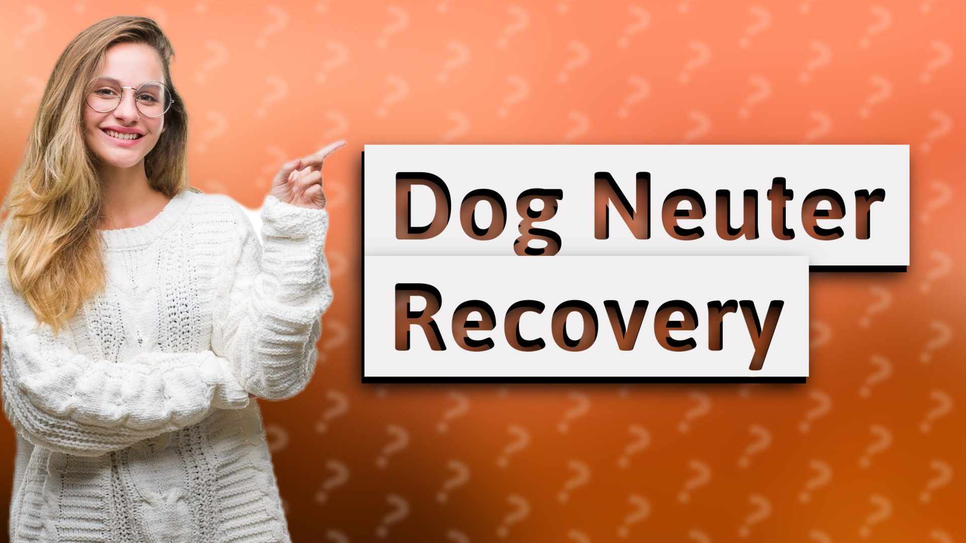 Dog Neuter Recovery
