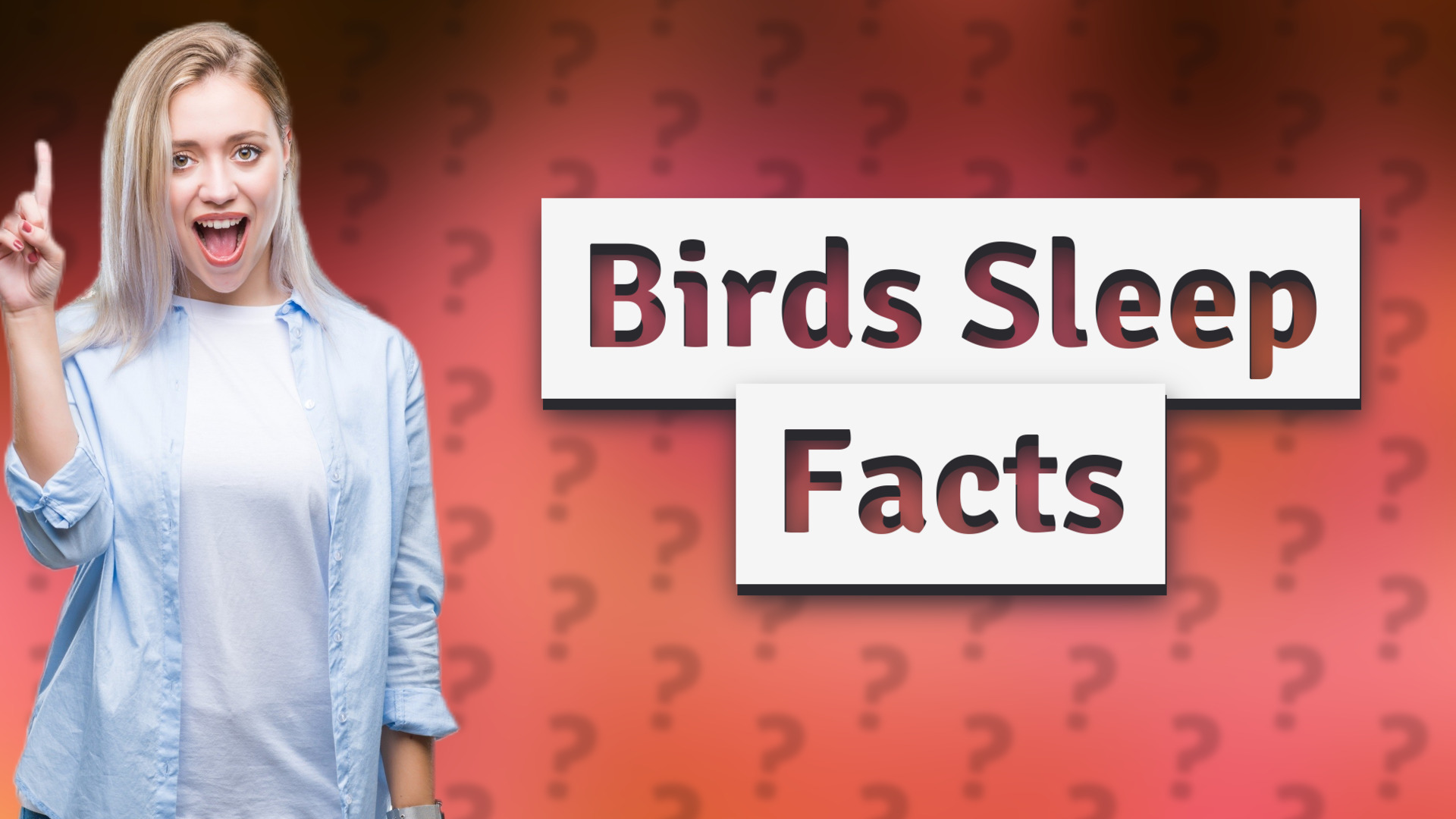 Birds Sleep Facts