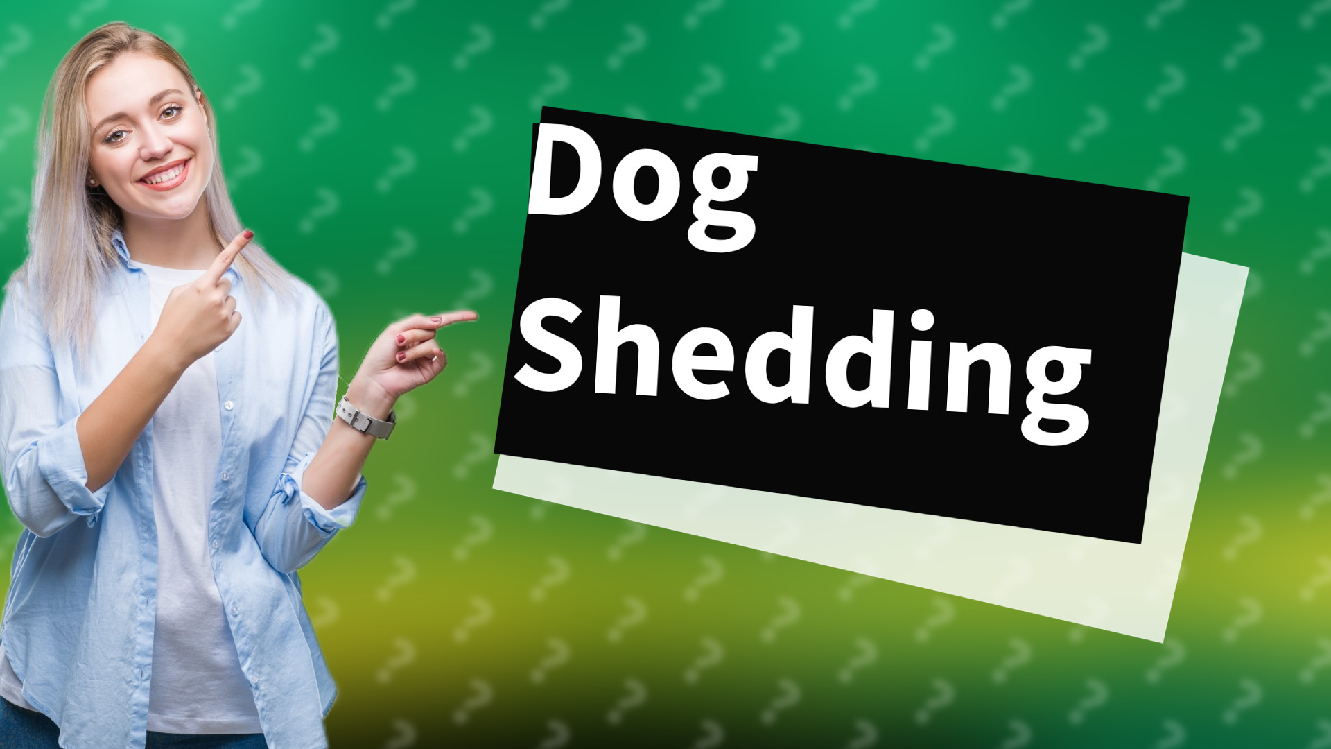 Dog Shedding