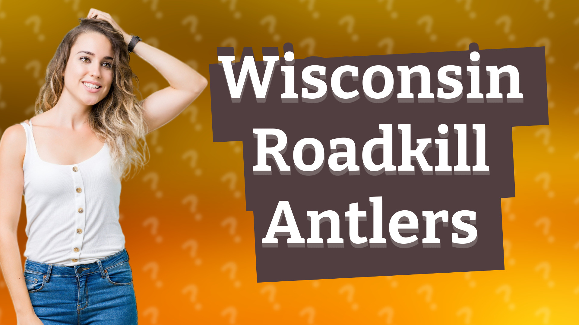 Wisconsin Roadkill Antlers