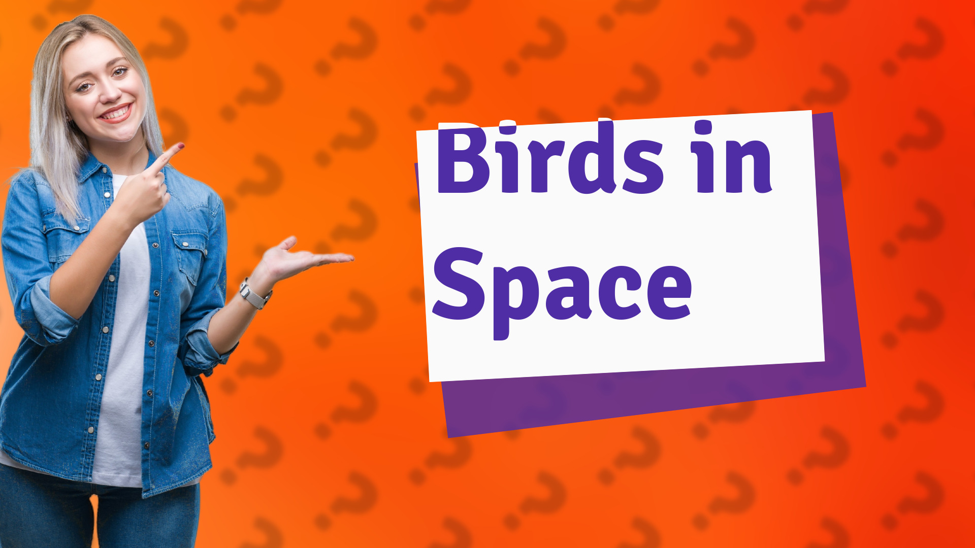 Birds in Space