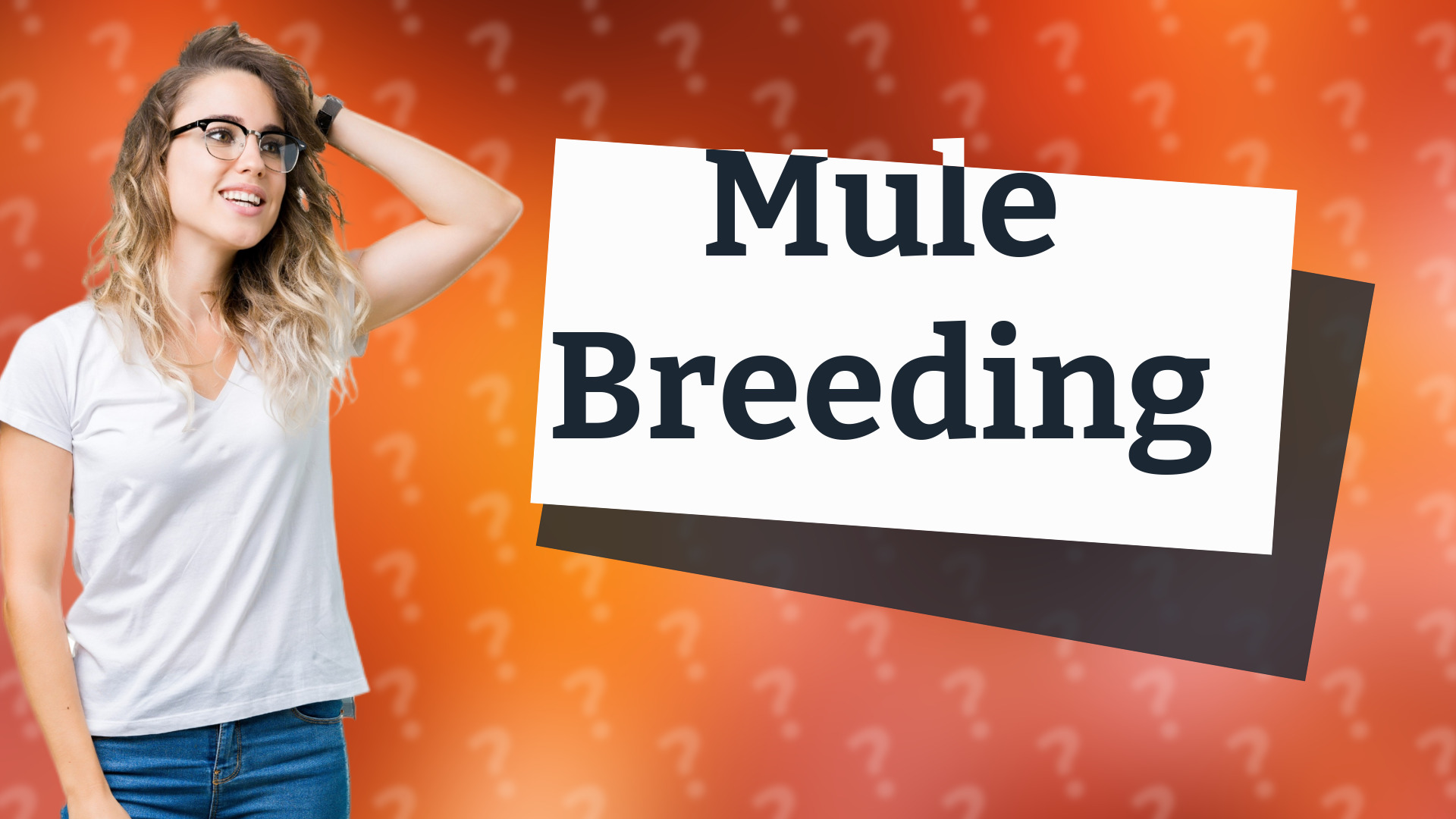 Mule Breeding