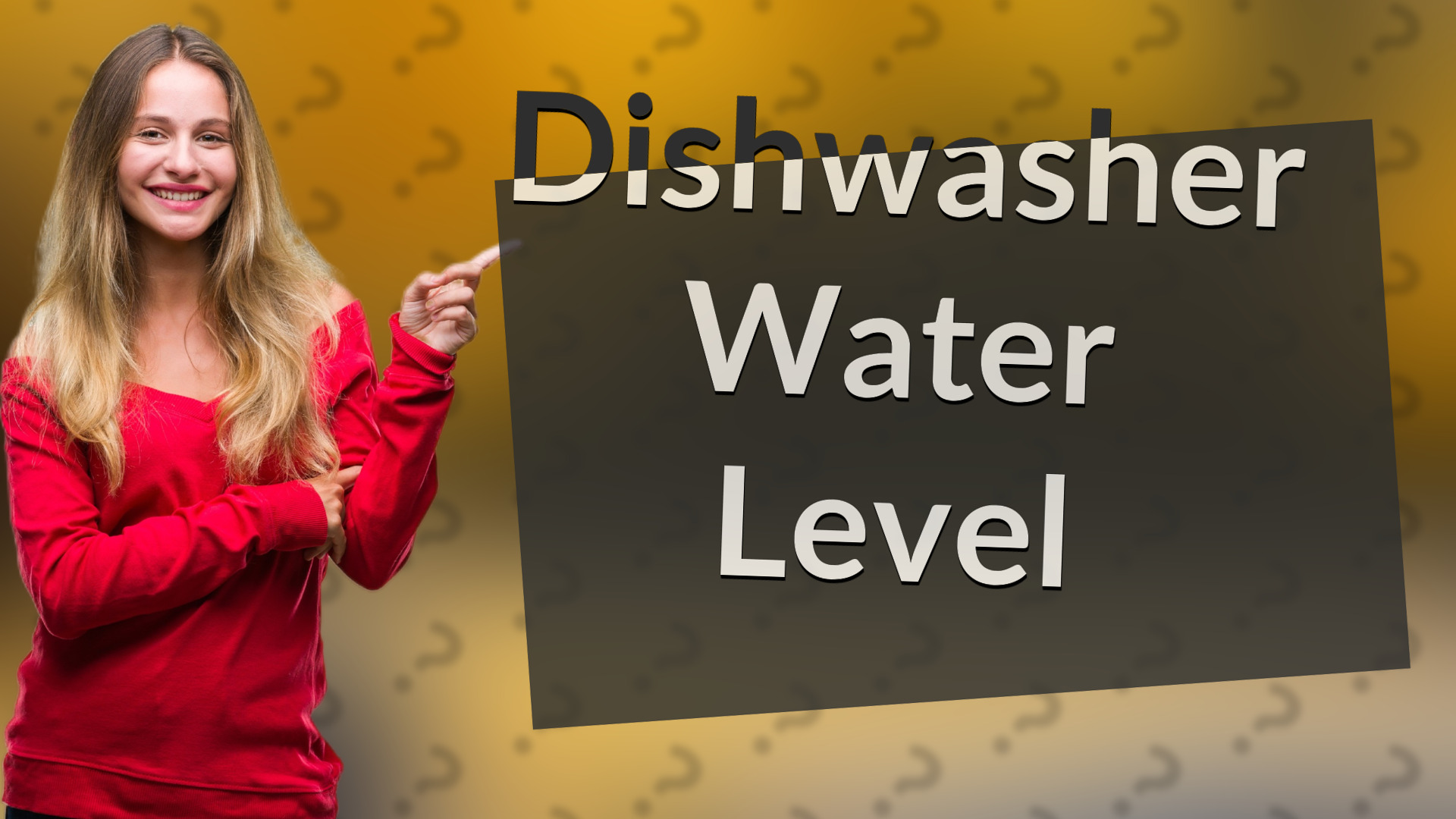 Dishwasher Water Level