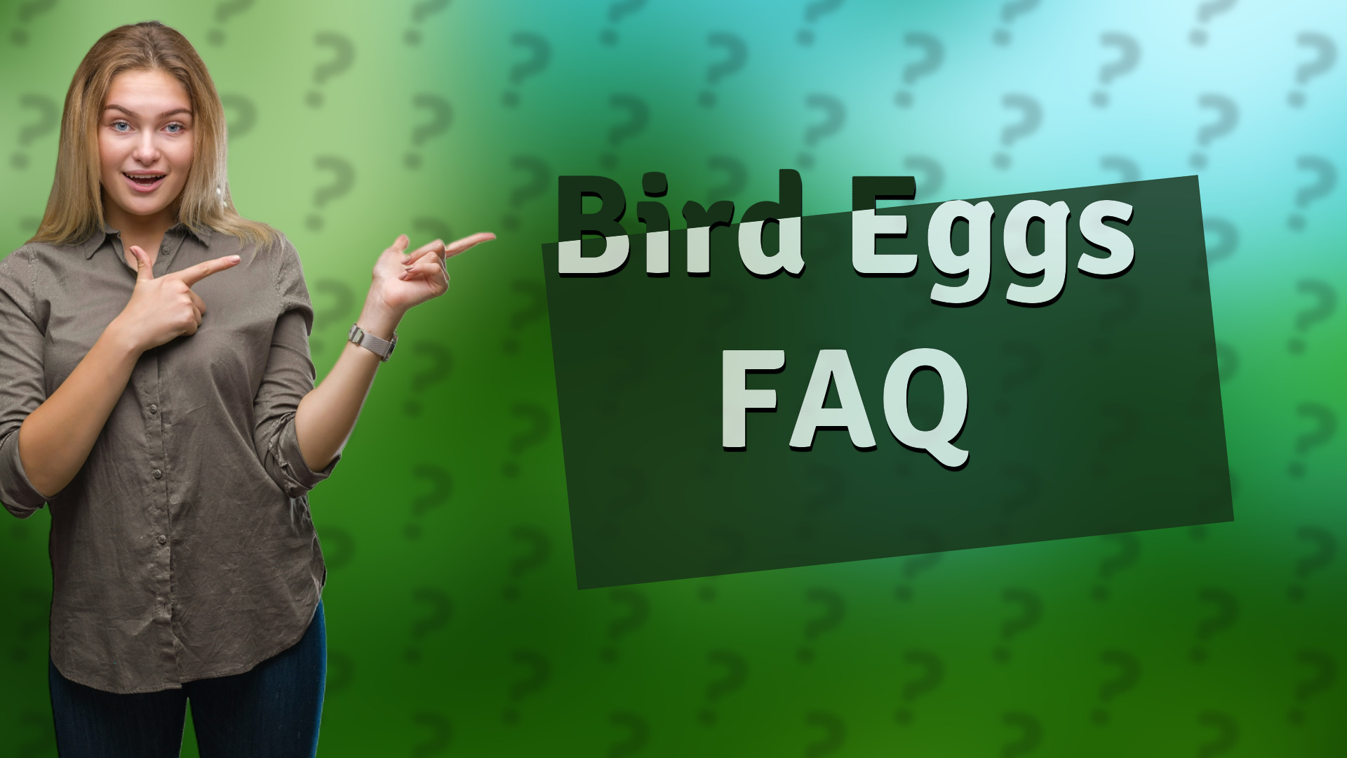Bird Eggs FAQ