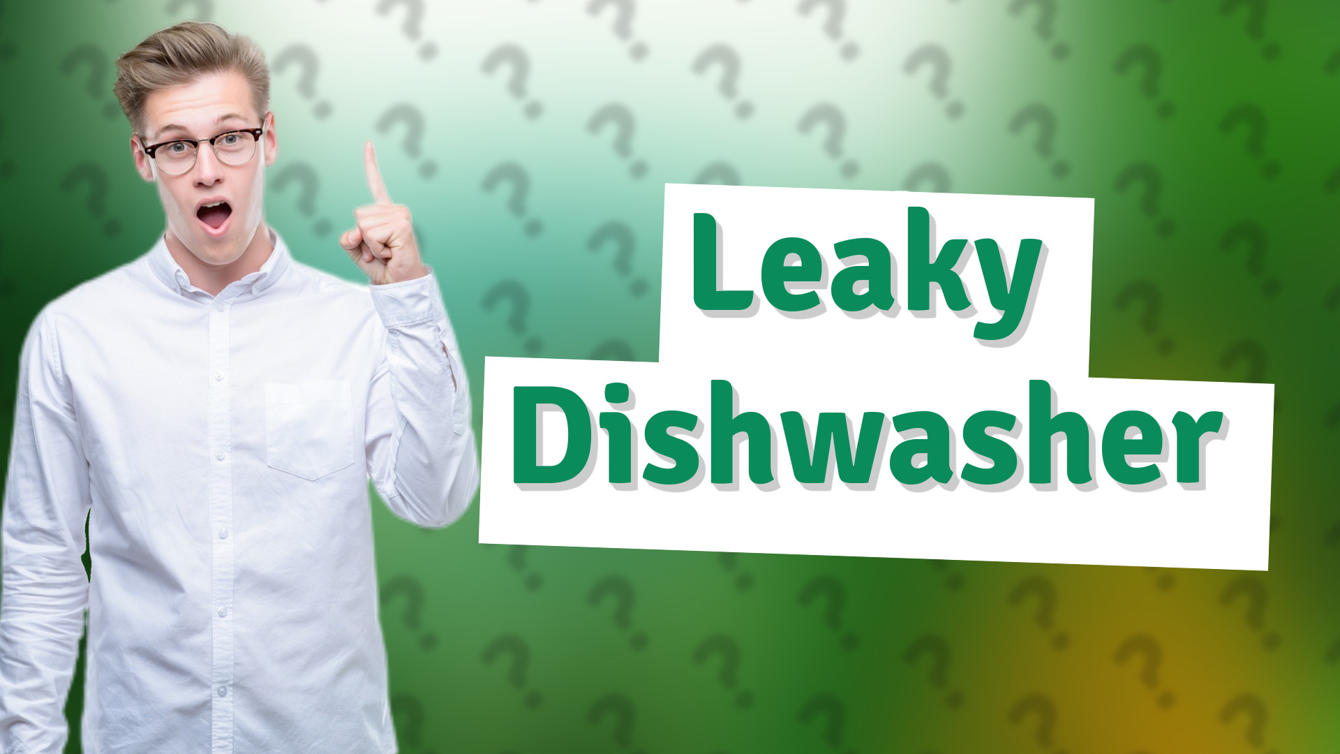 Leaky Dishwasher