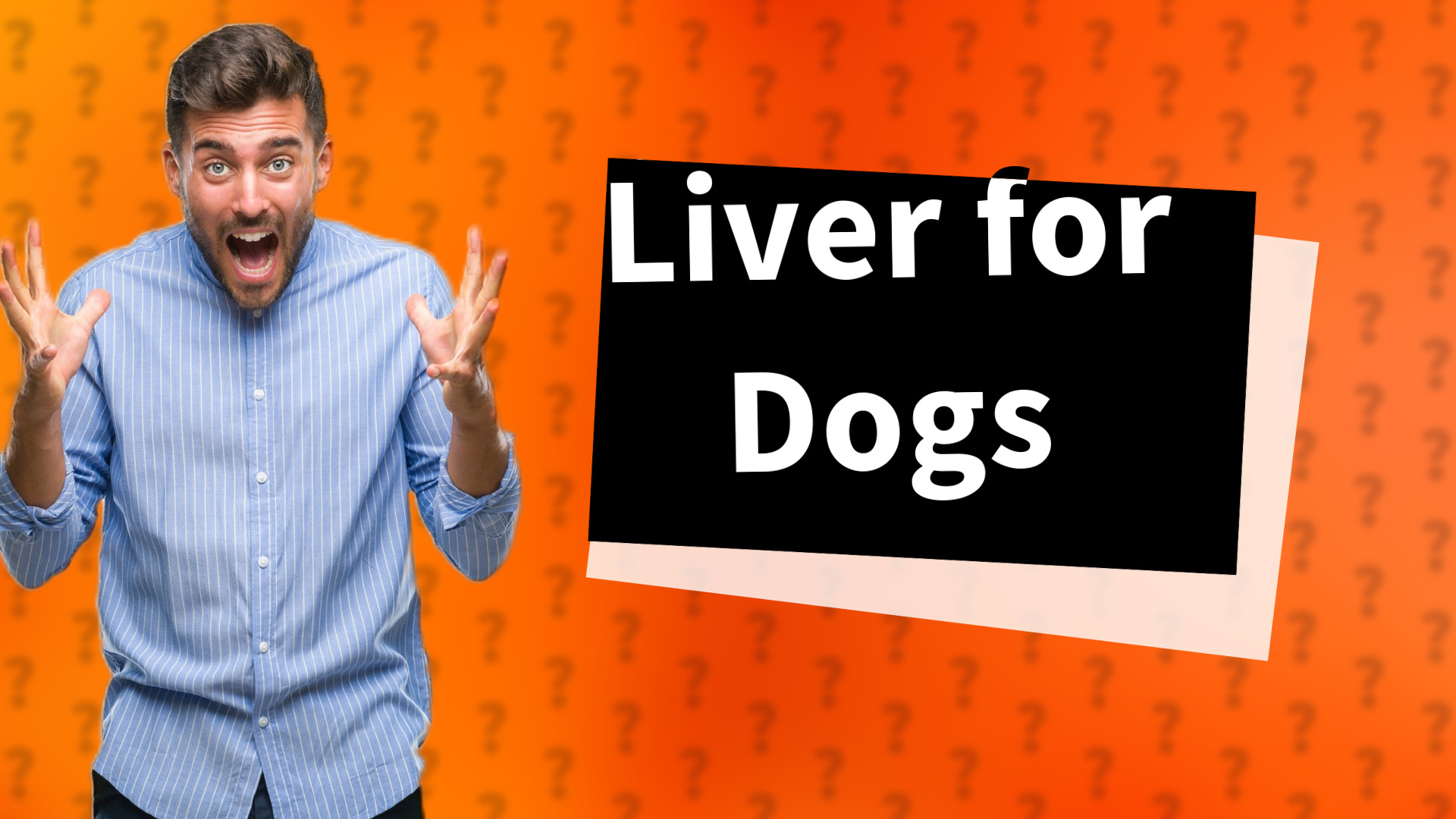Liver for Dogs