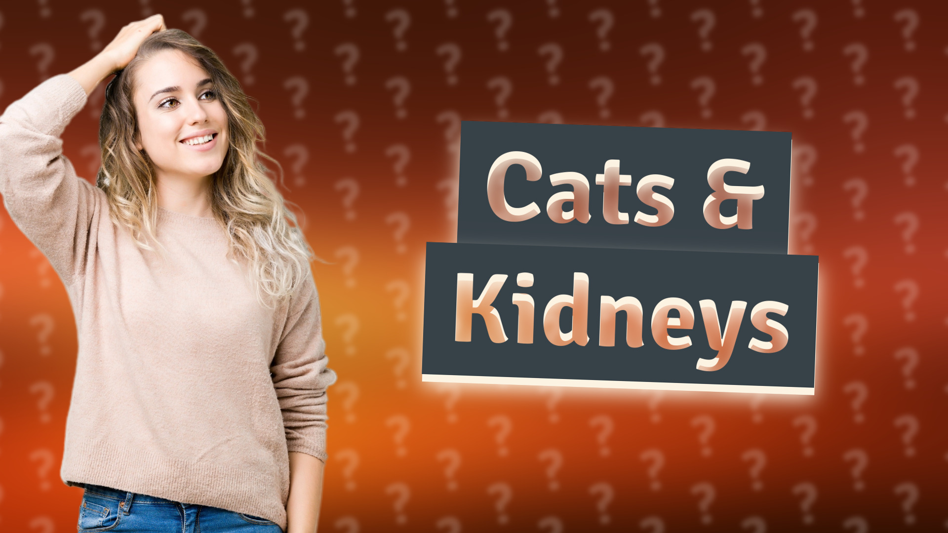 Cats & Kidneys