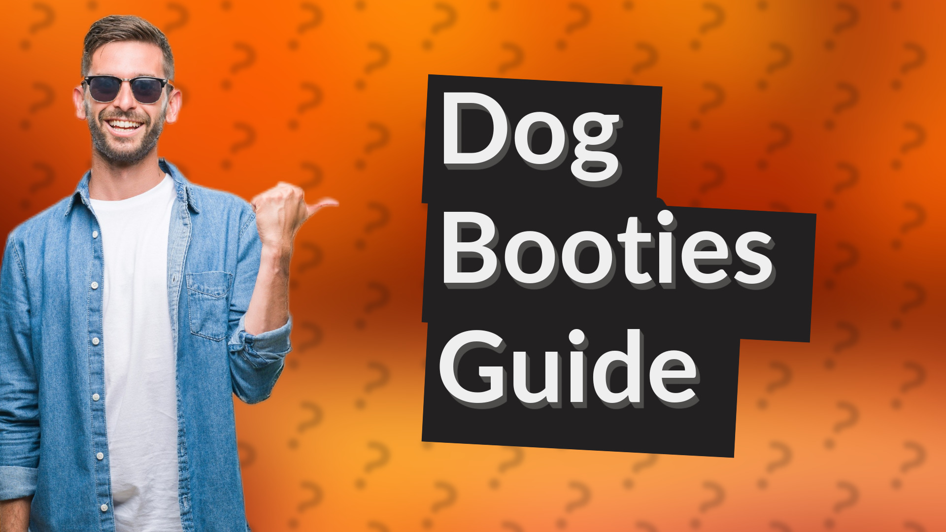 Dog Booties Guide