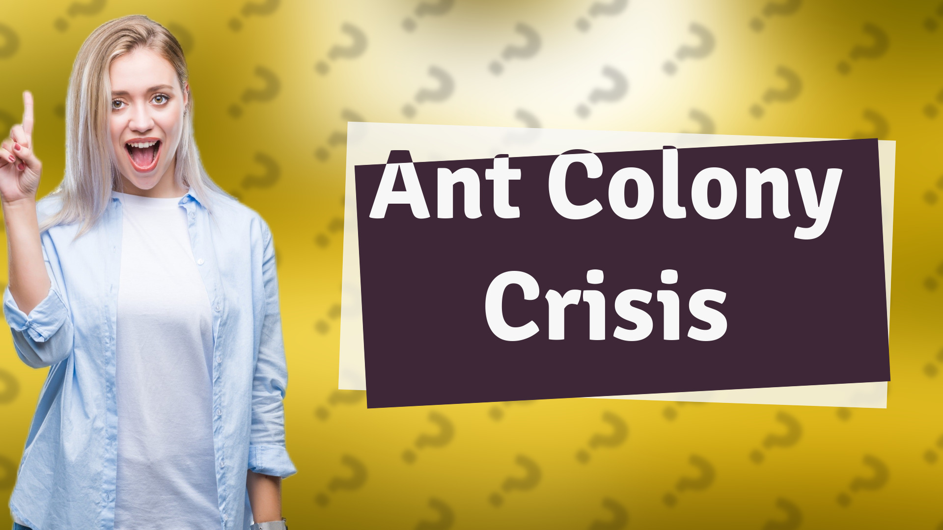 Ant Colony Crisis