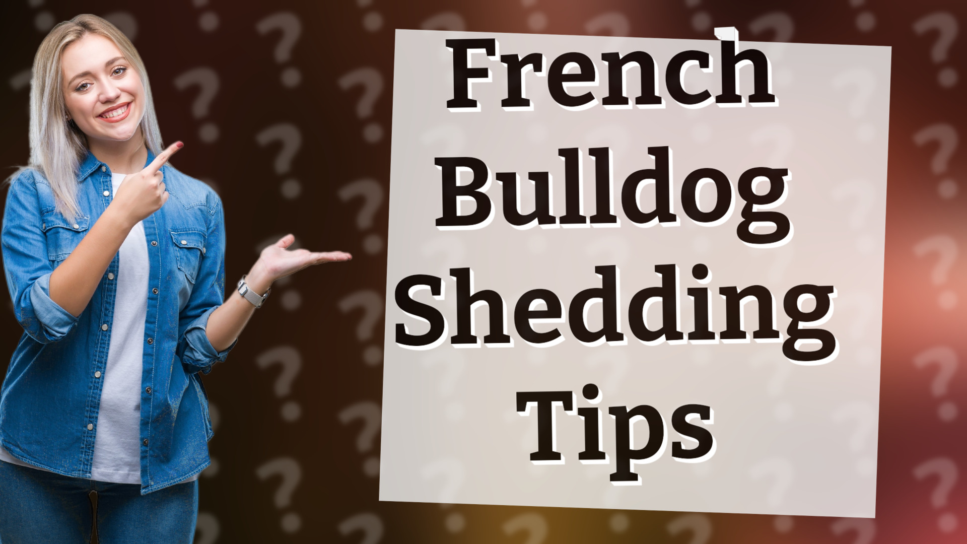 French Bulldog Shedding Tips
