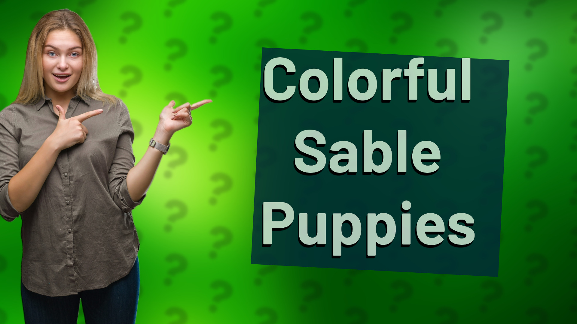 Colorful Sable Puppies