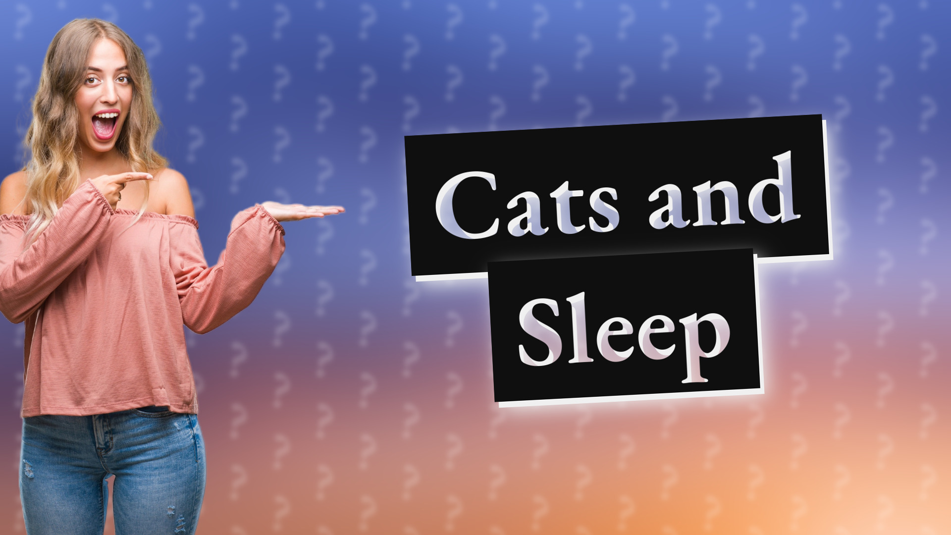 Cats and Sleep