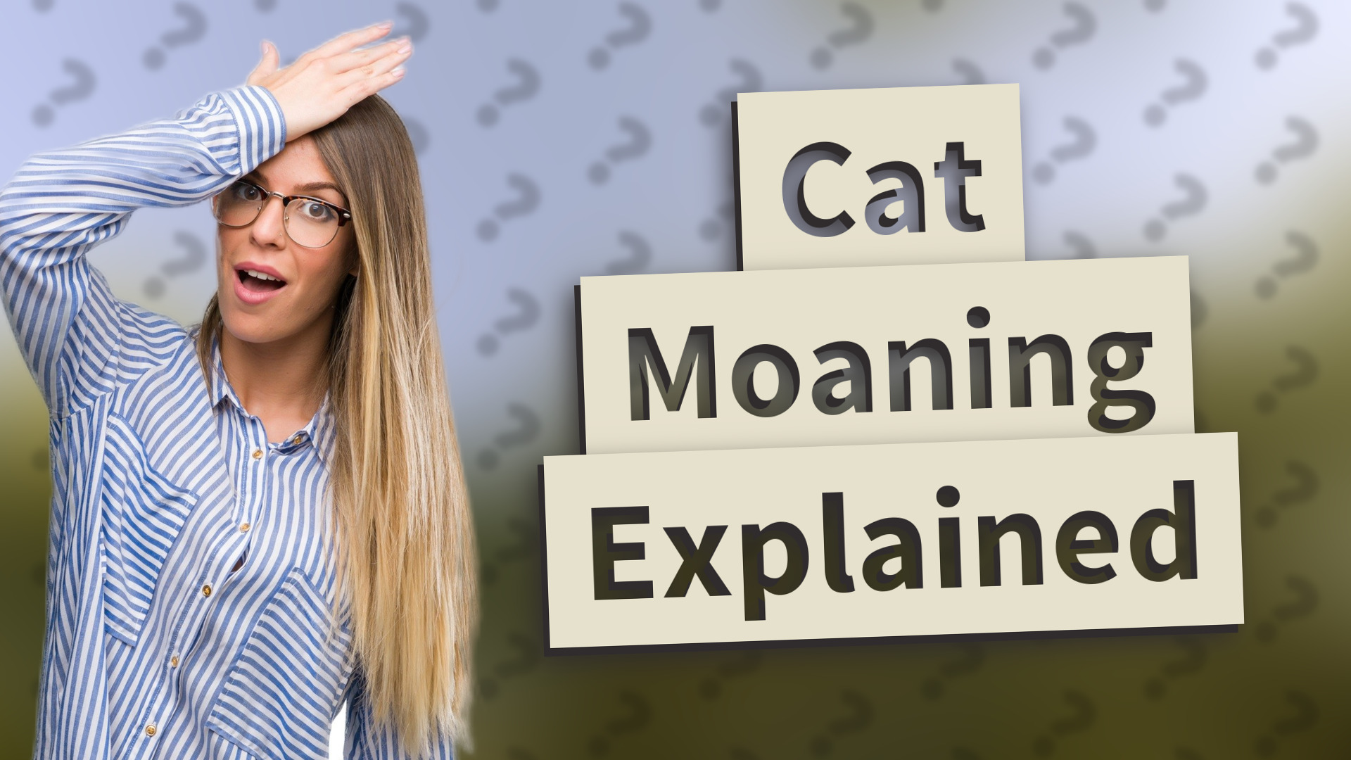 Cat Moaning Explained