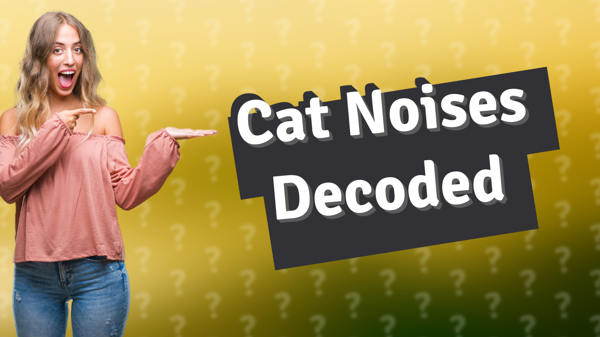 Cat Noises Decoded