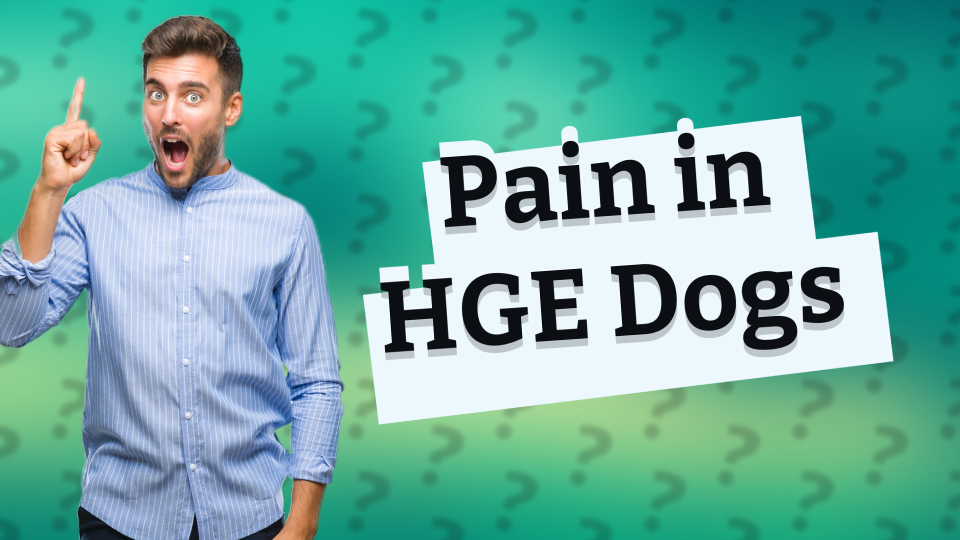 Pain in HGE Dogs